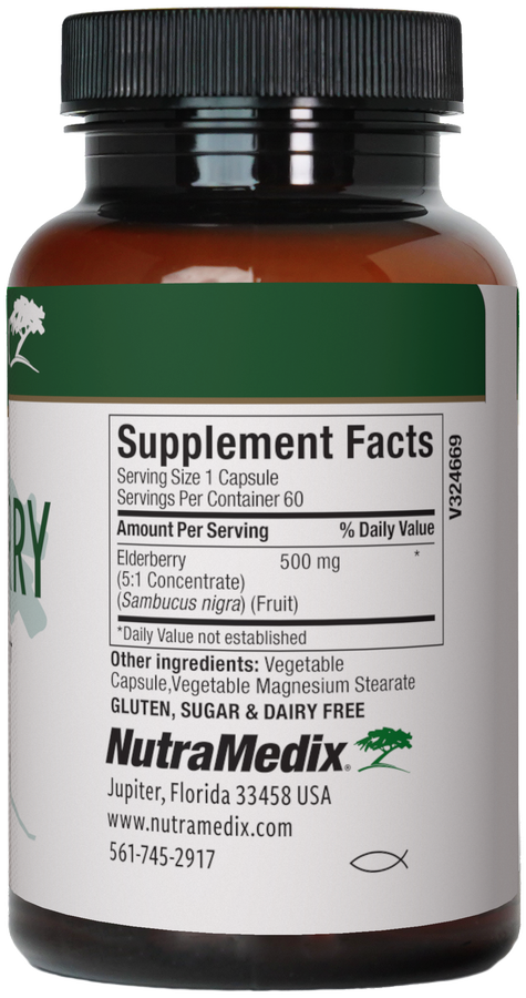 Elderberry facts