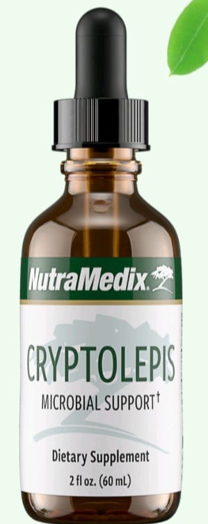 CRYPTOLEPIS